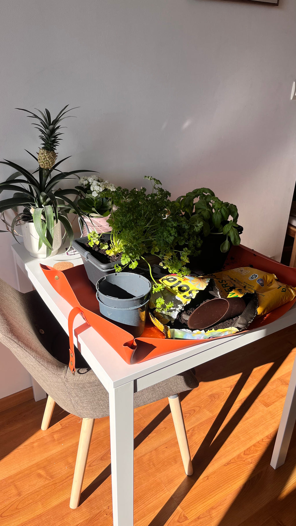 Tapis de rempotage